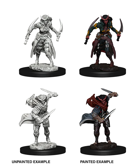 D&D NOLZUR'S MARVELOUS MINIATURES: TIEFLING FEMALE ROGUE | Gamers Paradise