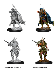 D&D NOLZUR'S MARVELOUS MINIATURES: MALE ELF ROGUE | Gamers Paradise