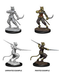 D&D NOLZUR'S MARVELOUS MINIATURES - MALE TABAXI ROGUE | Gamers Paradise