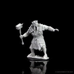 D&D NOLZUR'S MARVELOUS MINIATURES: FIRE GIANT | Gamers Paradise