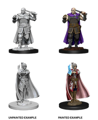 D&D NOLZUR'S MARVELOUS MINIATURES: HUMAN RANGER & MOON ELF SORCERER | Gamers Paradise