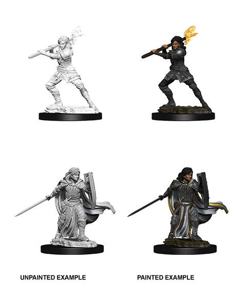 D&D NOLZUR'S MARVELOUS MINIATURES: FEMALE HUMAN PALADIN | Gamers Paradise