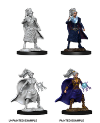 D&D NOLZUR'S MARVELOUS MINIATURES: FEMALE HUMAN SORCERER | Gamers Paradise