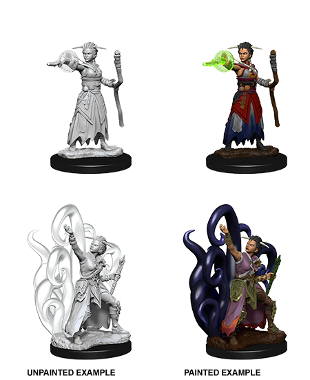 D&D NOLZUR'S MARVELOUS MINIATURES - FEMALE HUMAN WARLOCK | Gamers Paradise