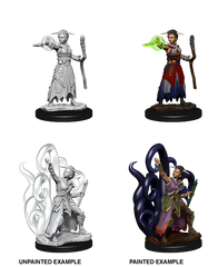 D&D NOLZUR'S MARVELOUS MINIATURES - FEMALE HUMAN WARLOCK | Gamers Paradise