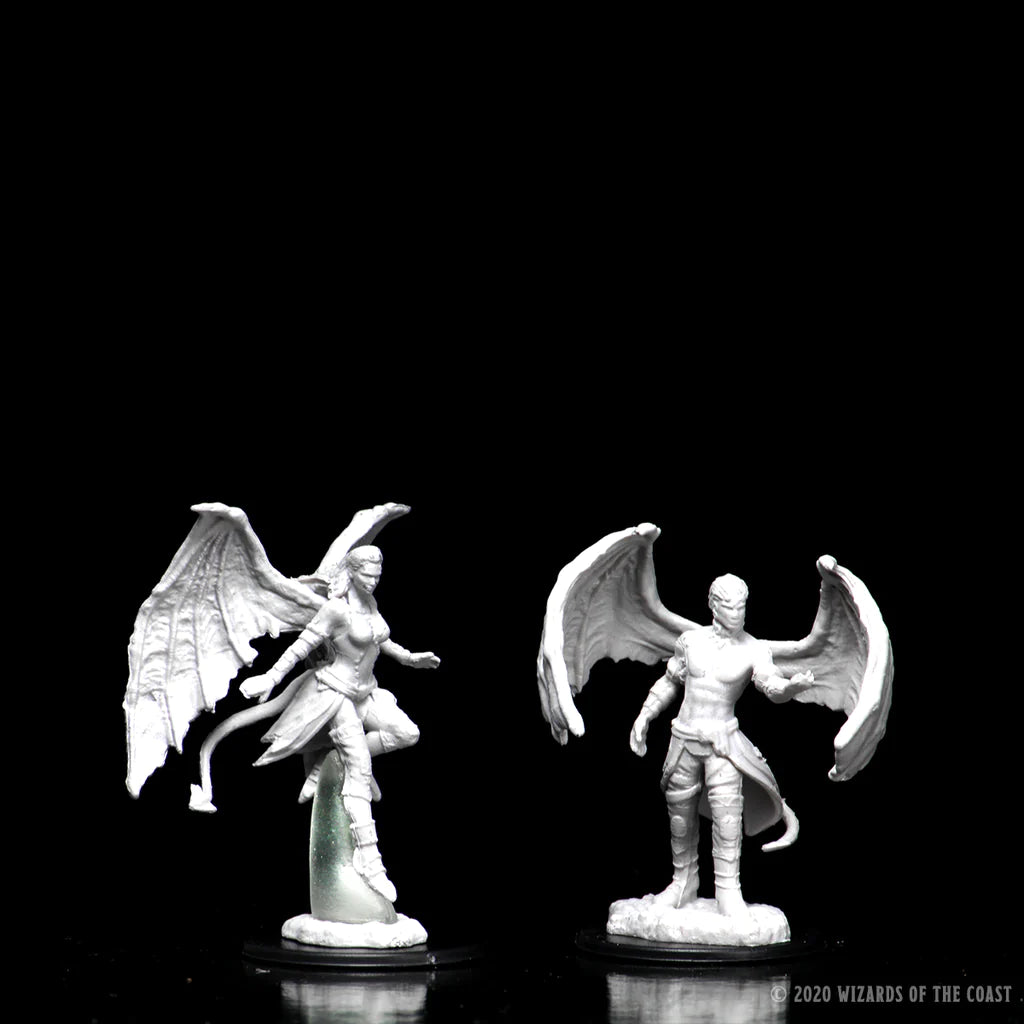 D&D NOLZUR'S MARVELOUS MINIATURES - SUCCUBUS & INCUBUS | Gamers Paradise