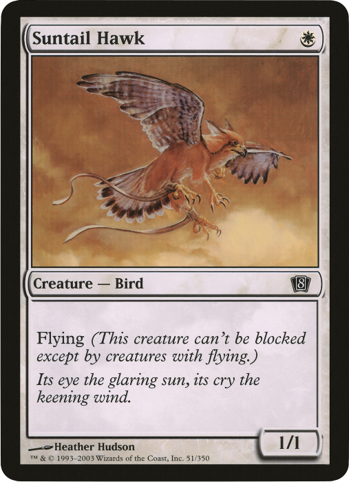 Suntail Hawk (Oversized) [Eighth Edition Box Topper] | Gamers Paradise
