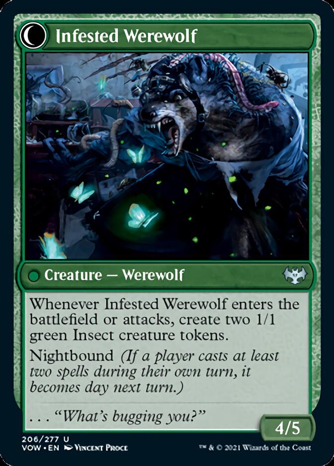 Infestation Expert // Infested Werewolf [Innistrad: Crimson Vow] | Gamers Paradise