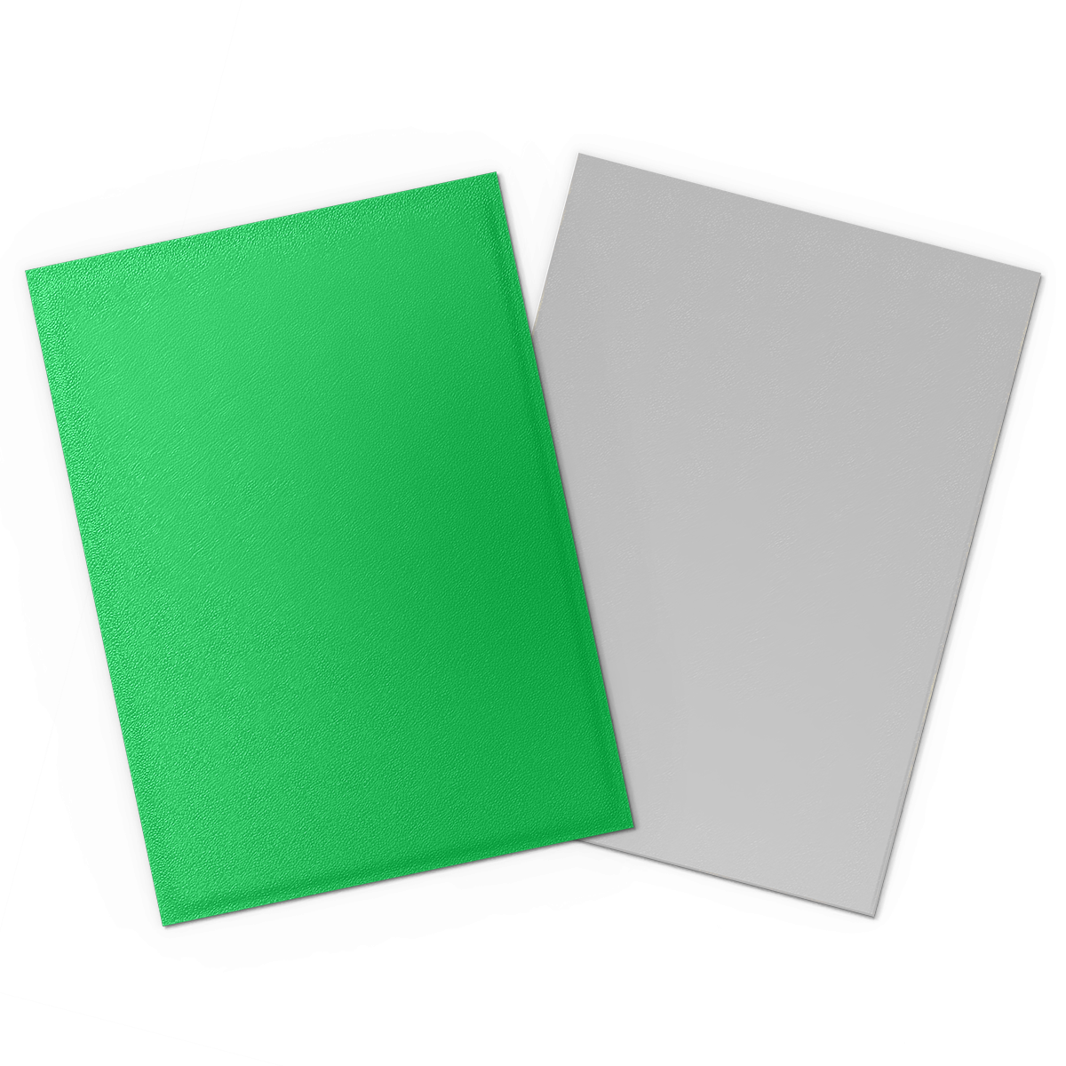 Dragon Shield: Standard 100ct Sleeves - Apple Green & Silver (Dual Matte) | Gamers Paradise