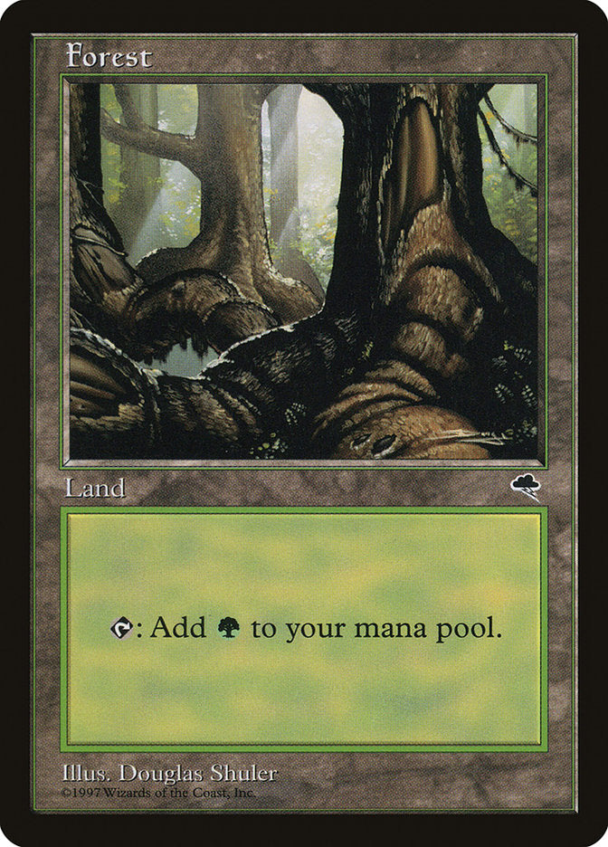 Forest (Large Roots) [Tempest] | Gamers Paradise