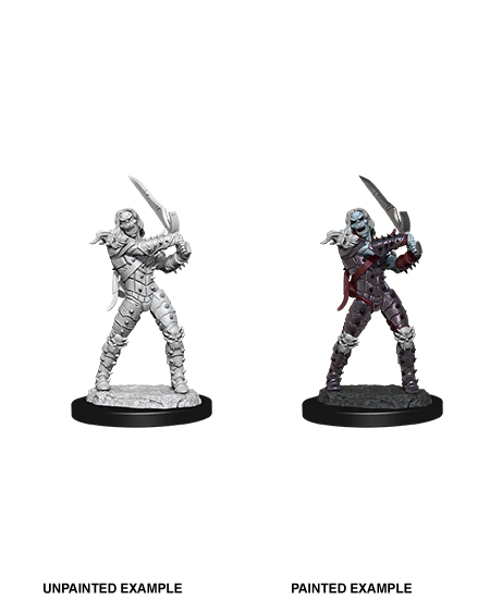 D&D NOLZUR'S MARVELOUS MINIATURES: WIGHT & GHAST | Gamers Paradise