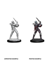 D&D NOLZUR'S MARVELOUS MINIATURES: WIGHT & GHAST | Gamers Paradise