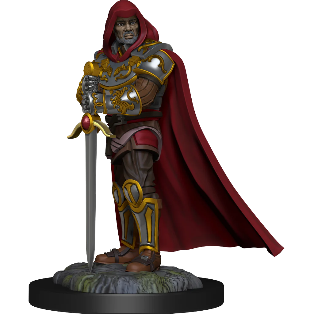 D&D NOLZUR'S MARVELOUS MINIATURES: HUMAN PALADIN MALE | Gamers Paradise