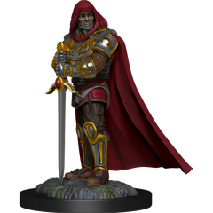 D&D NOLZUR'S MARVELOUS MINIATURES: HUMAN PALADIN MALE | Gamers Paradise