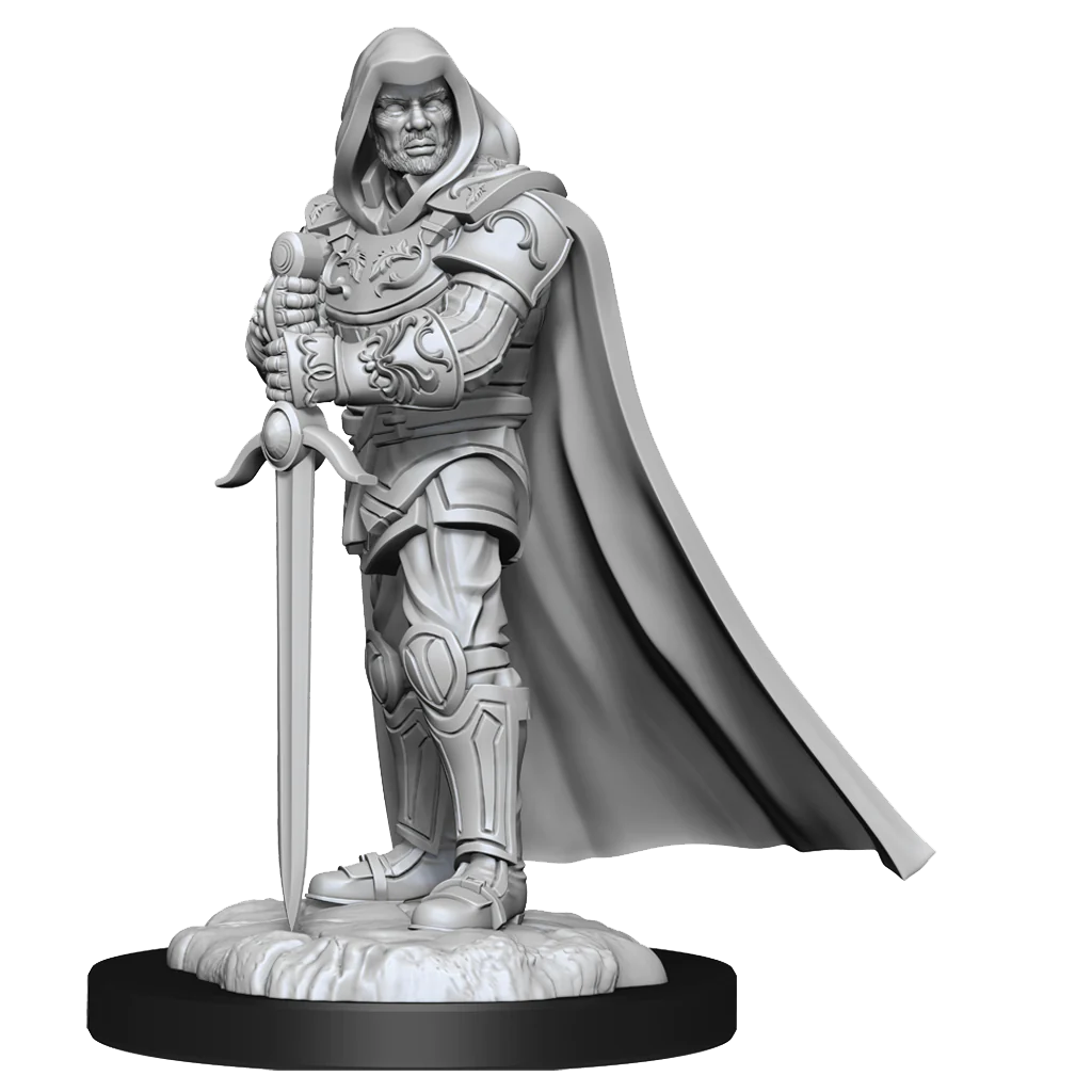 D&D NOLZUR'S MARVELOUS MINIATURES: HUMAN PALADIN MALE | Gamers Paradise