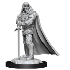 D&D NOLZUR'S MARVELOUS MINIATURES: HUMAN PALADIN MALE | Gamers Paradise