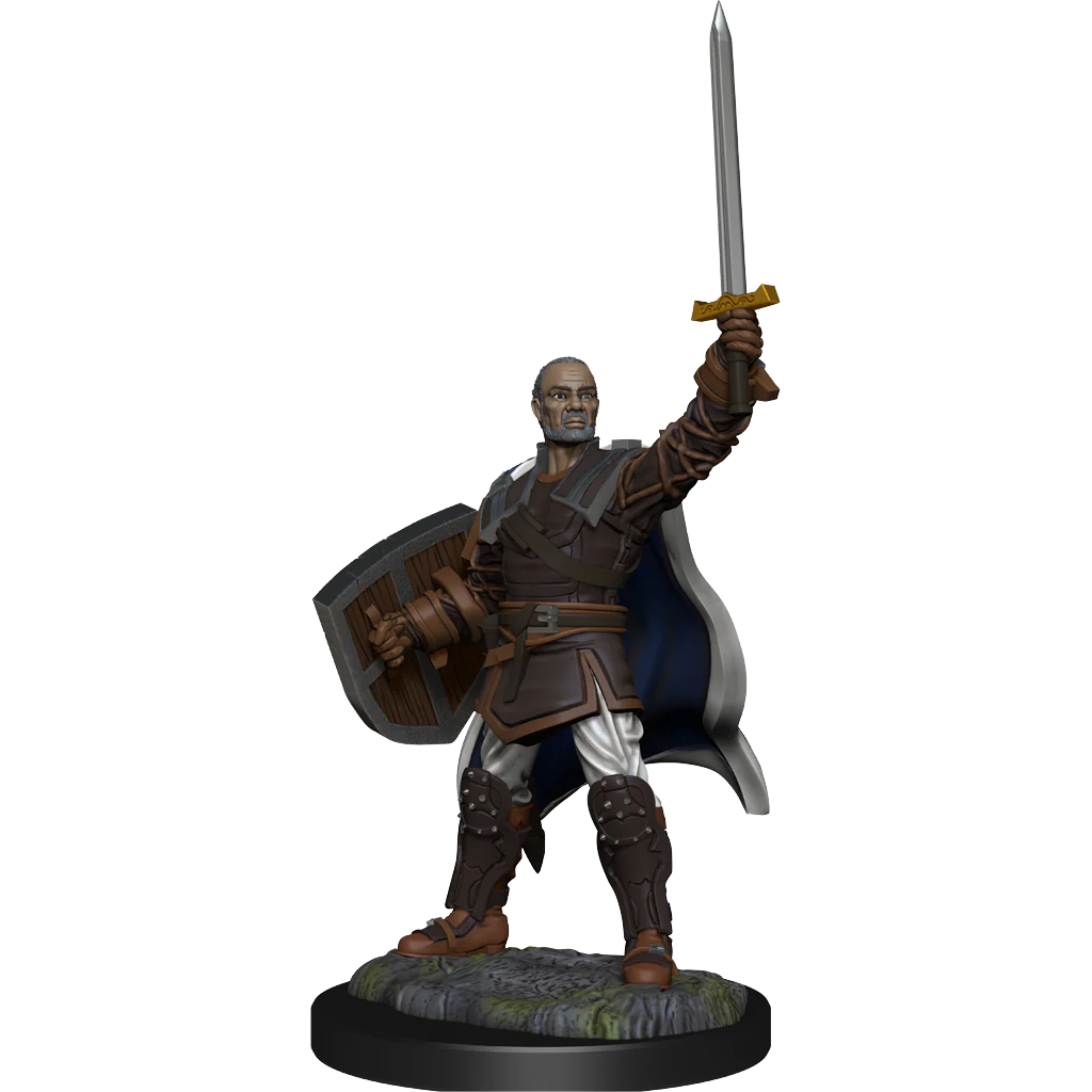 D&D NOLZUR'S MARVELOUS MINIATURES: HUMAN PALADIN MALE | Gamers Paradise