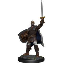 D&D NOLZUR'S MARVELOUS MINIATURES: HUMAN PALADIN MALE | Gamers Paradise