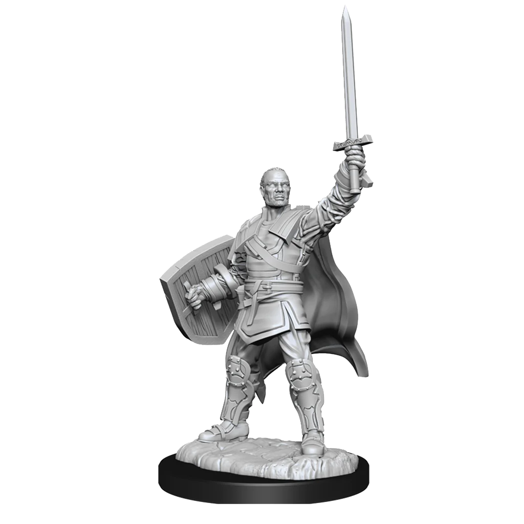 D&D NOLZUR'S MARVELOUS MINIATURES: HUMAN PALADIN MALE | Gamers Paradise