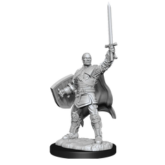 D&D NOLZUR'S MARVELOUS MINIATURES: HUMAN PALADIN MALE | Gamers Paradise