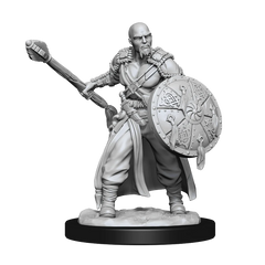 D&D NOLZUR'S MARVELOUS MINIATURES: HUMAN BARBARIAN MALE | Gamers Paradise