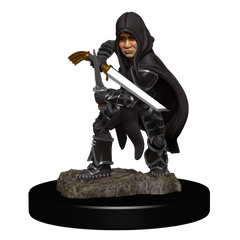 D&D NOLZUR'S MARVELOUS MINIATURES: HALFLING ROGUE MALE | Gamers Paradise