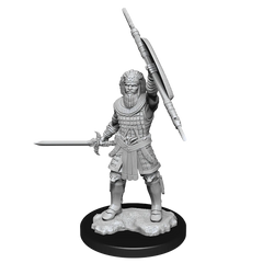 D&D NOLZUR'S MARVELOUS MINIATURES: HUMAN FIGHTER MALE | Gamers Paradise