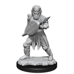 D&D NOLZUR'S MARVELOUS MINIATURES: HUMAN FIGHTER MALE | Gamers Paradise