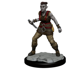 D&D NOLZUR'S MARVELOUS MINIATURES: ORC BARBARIAN FEMALE | Gamers Paradise