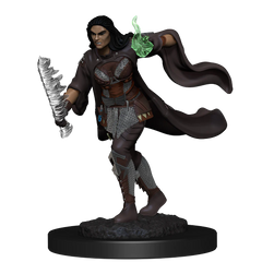 D&D NOLZUR'S MARVELOUS MINIATURES: MULTICLASS WARLOCK + SORCERER FEMALE | Gamers Paradise