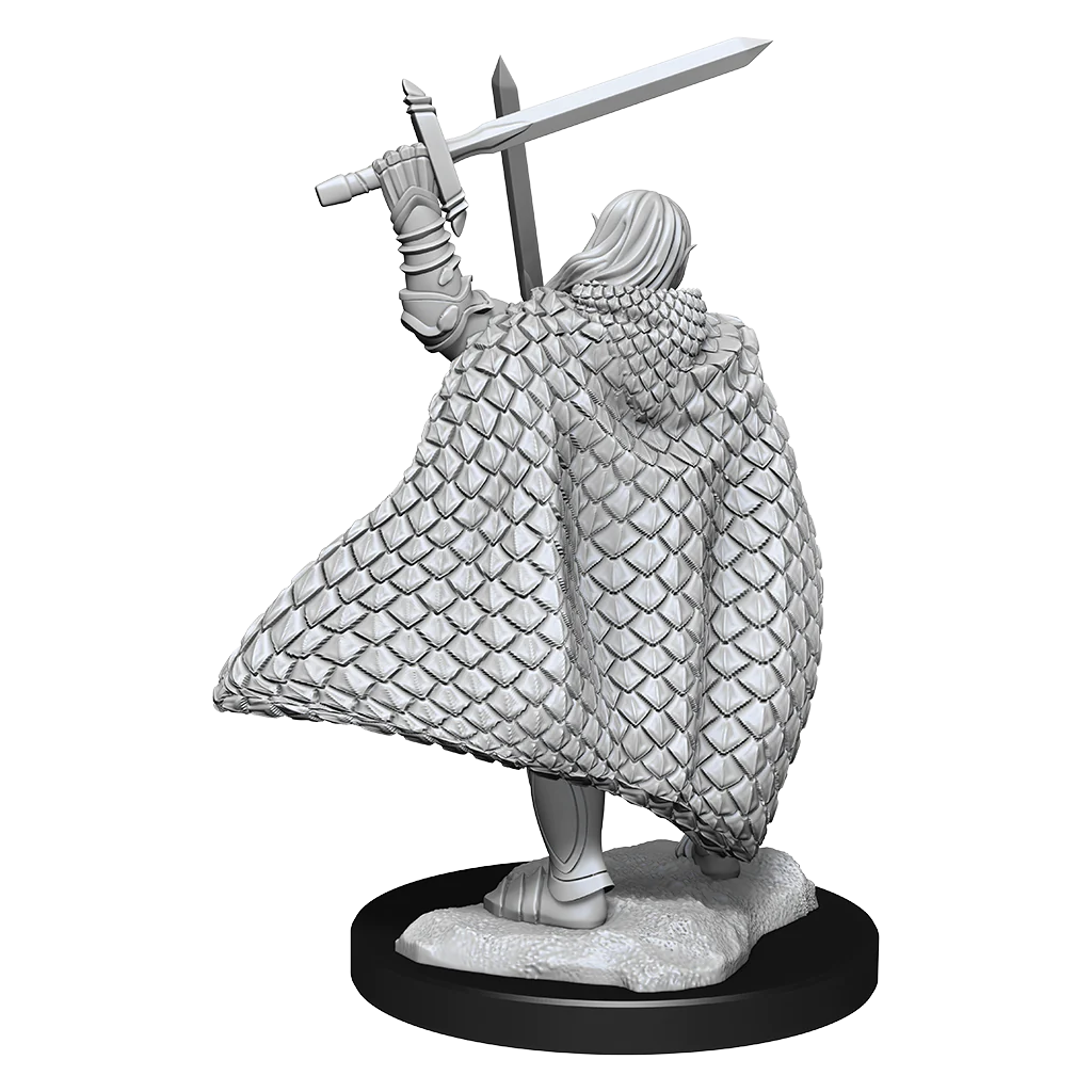 PATHFINDER DEEP CUTS UNPAINTED MINIATURES: ELF FIGHTER MALE | Gamers Paradise