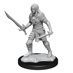 PATHFINDER DEEP CUTS UNPAINTED MINIATURES: ELF FIGHTER MALE | Gamers Paradise