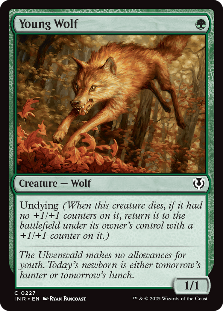 Young Wolf [Innistrad Remastered] | Gamers Paradise