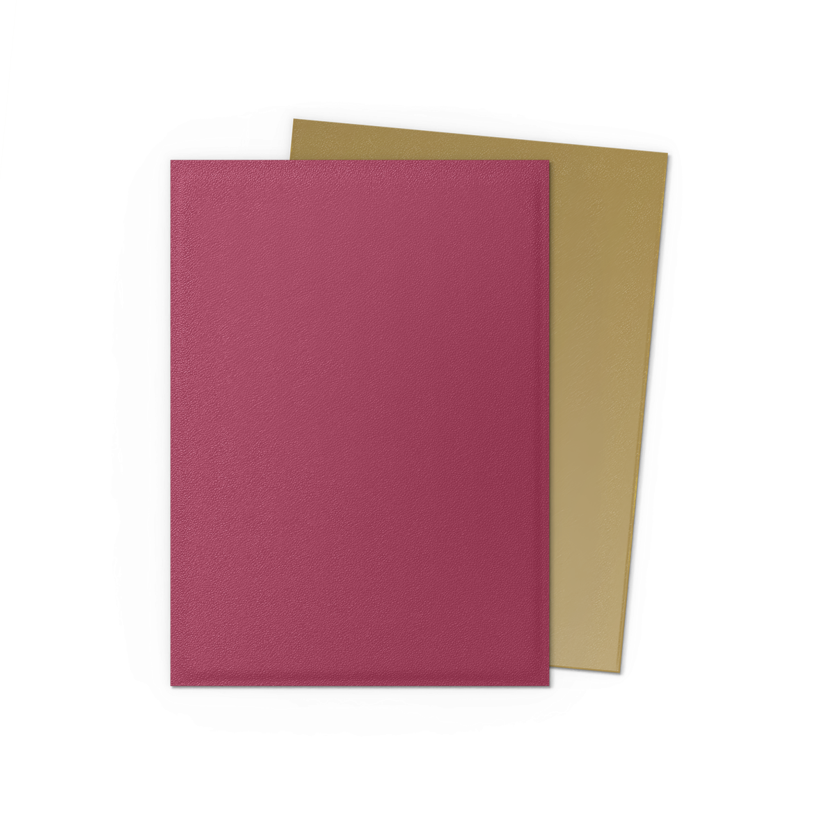 Dragon Shield: Standard 100ct pomegranate (Dual Matte) | Gamers Paradise
