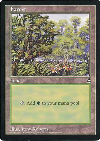 Forest (Oversized) [Oversize Cards] | Gamers Paradise