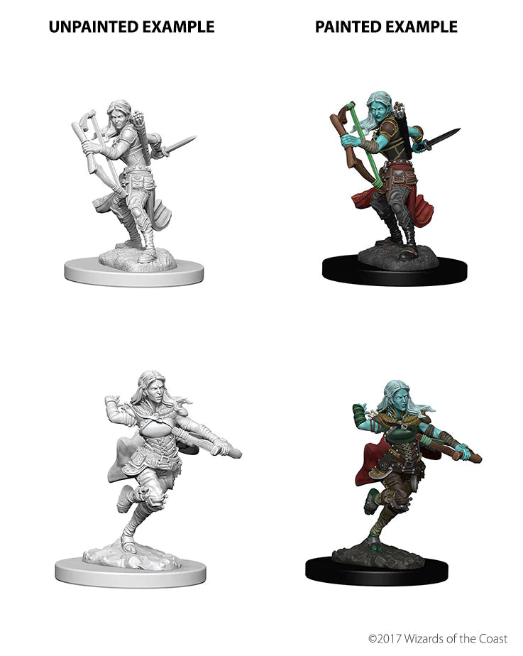 D&D NOLZUR'S MARVELOUS MINIATURES: AIR GENASI FEMALE ROGUE | Gamers Paradise