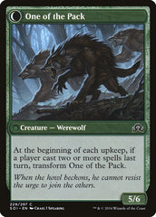 Solitary Hunter // One of the Pack [Shadows over Innistrad] | Gamers Paradise