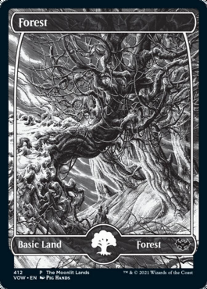 Forest (The Moonlit Lands) (Foil Etched) [Innistrad: Crimson Vow Promos] | Gamers Paradise