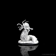 D&D NOLZUR'S MARVELOUS MINIATURES: CARRION CRAWLER | Gamers Paradise