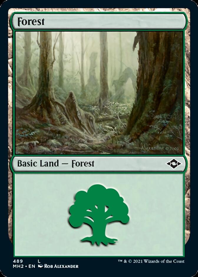 Forest (489) (Foil Etched) [Modern Horizons 2] | Gamers Paradise