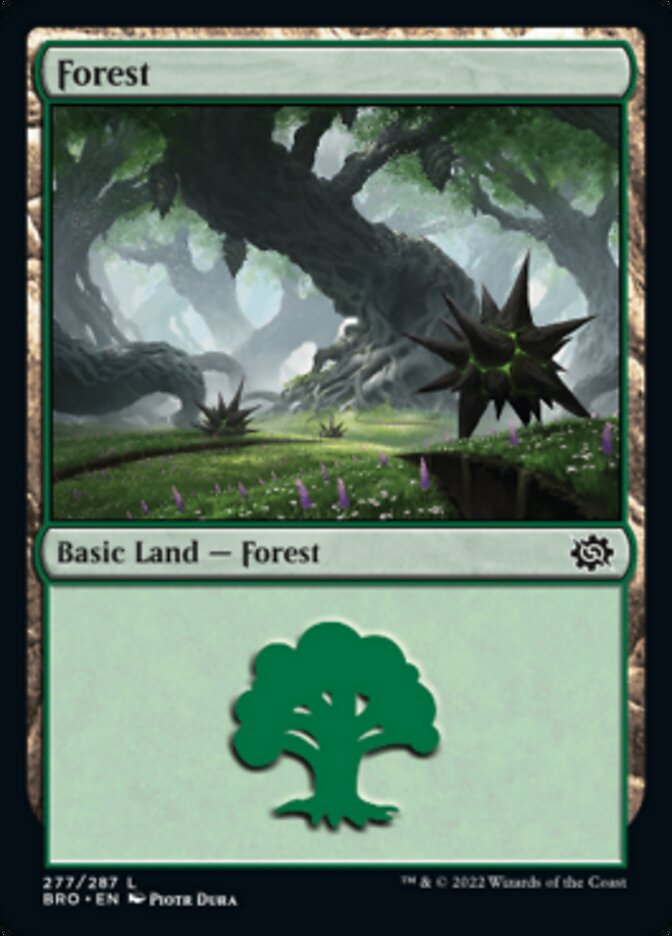 Forest (277) [The Brothers' War] | Gamers Paradise