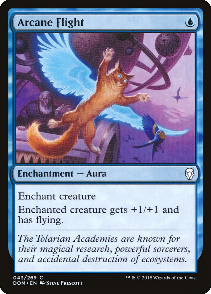 Arcane Flight [Dominaria] | Gamers Paradise