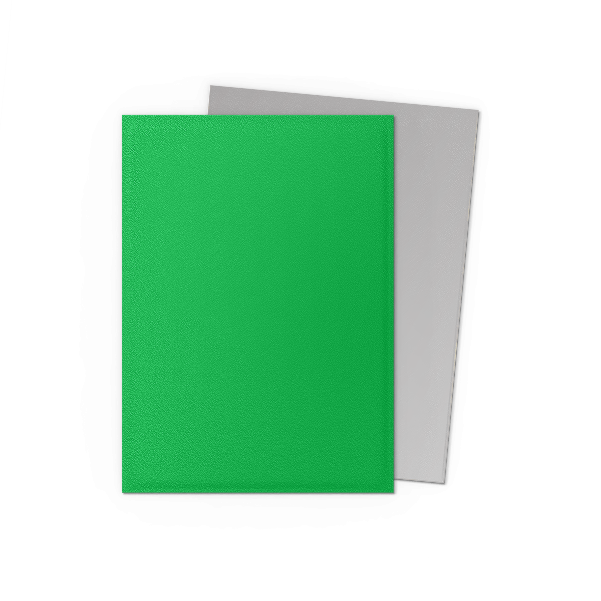 Dragon Shield: Standard 100ct Sleeves - Apple Green & Silver (Dual Matte) | Gamers Paradise
