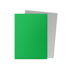 Dragon Shield: Standard 100ct Sleeves - Apple Green & Silver (Dual Matte) | Gamers Paradise