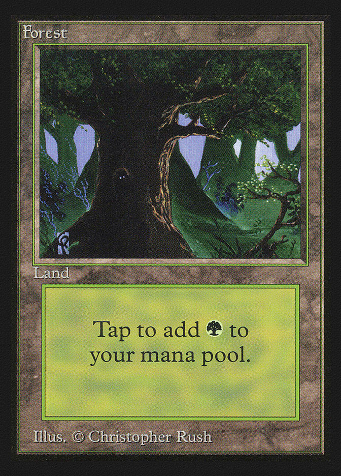 Forest (Eyes in Tree) [International Collectors' Edition] | Gamers Paradise