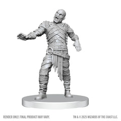 D&D Nolzur's Marvelous Miniatures: Swarm of Rot Grubs & Rot Grub Victim | Gamers Paradise