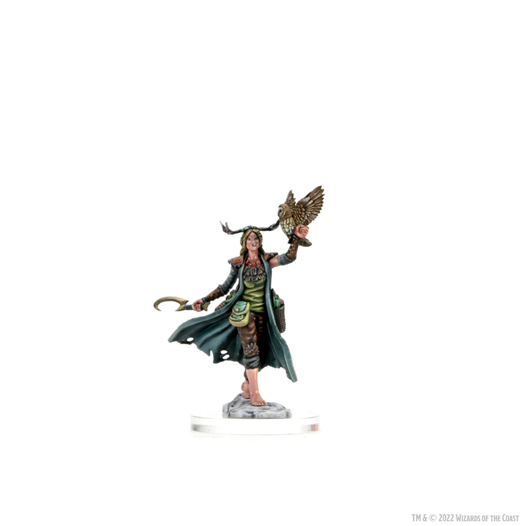 D&D FRAMEWORKS: HUMAN DRUID FEMALE - UNPAINTED AND UNASSEMBLED | Gamers Paradise