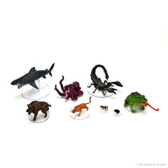 D&D ICONS OF THE REALMS: WILD SHAPE & POLYMORPH SET 1 | Gamers Paradise