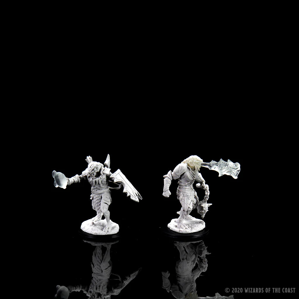 D&D NOLZUR'S MARVELOUS MINIATURES: MALE DRAGONBORN PALADIN | Gamers Paradise