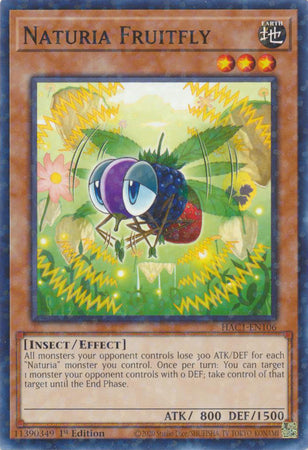 Naturia Fruitfly (Duel Terminal) [HAC1-EN106] Common | Gamers Paradise